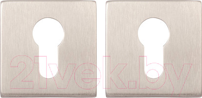 Изображение товара Накладка на цилиндр Apecs DP-C-20-INOX (нержавеющая сталь)