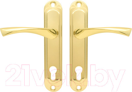 Изображение товара Ручка дверная Avers HP-85.0123-G (золото)