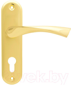 Изображение товара Ручка дверная Apecs HP-61.5.1023-AL-G (золото)