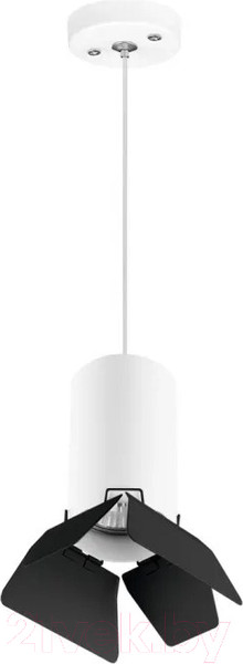 Изображение товара Потолочный светильник Lightstar Rullo RP436437