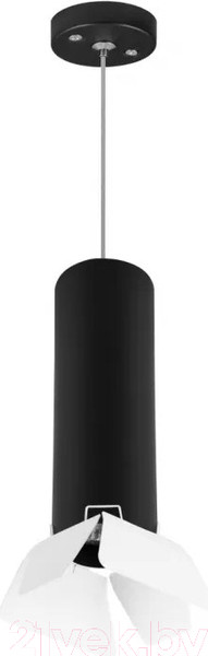 Изображение товара Потолочный светильник Lightstar Rullo RP497436