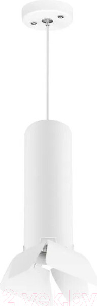 Изображение товара Потолочный светильник Lightstar Rullo RP496436