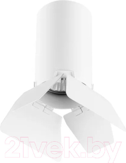 Изображение товара Потолочный светильник Lightstar Rullo R436436