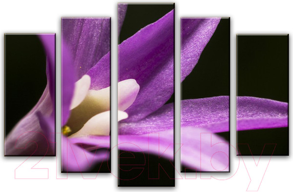 Изображение товара Картина модульная Arthata 5m-465 (160x90)