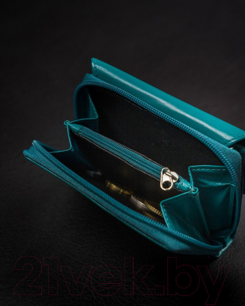 Изображение товара Портмоне Cedar Cavaldi RD-DB-09-GCL (S.Blue)