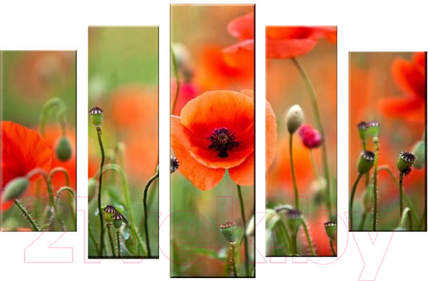 Изображение товара Картина модульная Arthata 5m-483 (105x60)