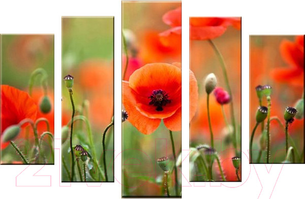 Изображение товара Картина модульная Arthata 5m-483 (130x80)