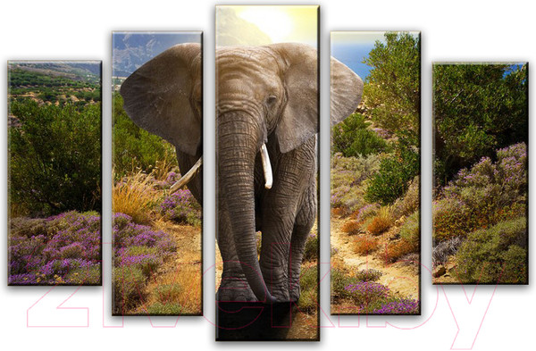 Изображение товара Картина модульная Arthata 5m-480 (130x80)