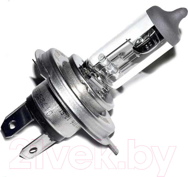 Изображение товара Автомобильная лампа Bosch 1987301001