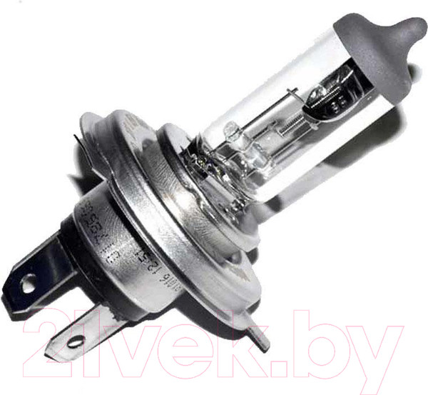 Изображение товара Автомобильная лампа Bosch 1987301040