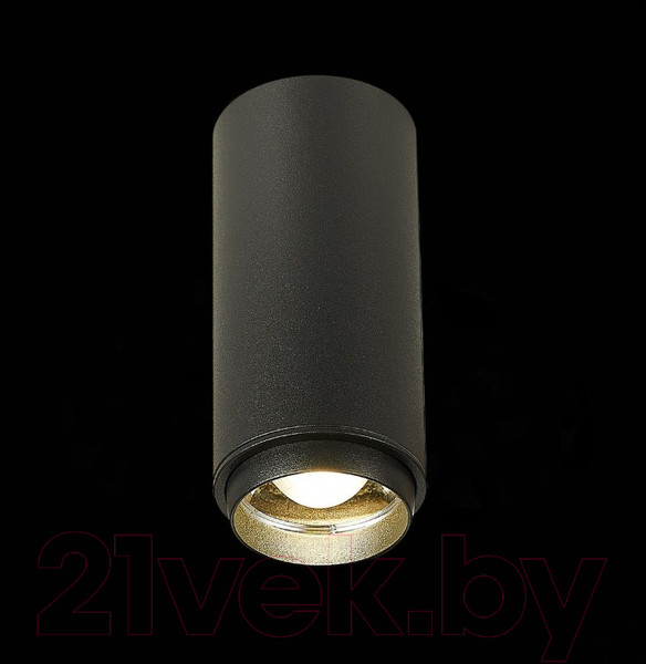 Изображение товара Потолочный светильник ST Luce Zoom ST600.442.10