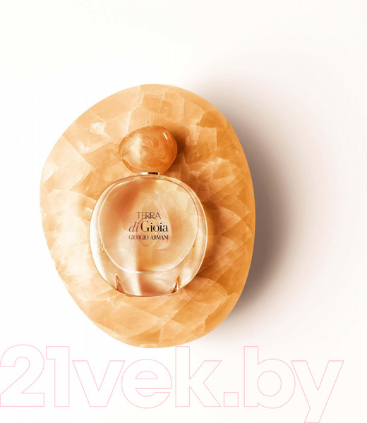 Изображение товара Парфюмерная вода Giorgio Armani Terra Di Gioia (50мл)