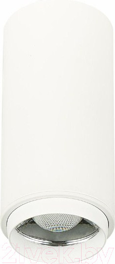 Изображение товара Потолочный светильник ST Luce Zoom ST600.532.10