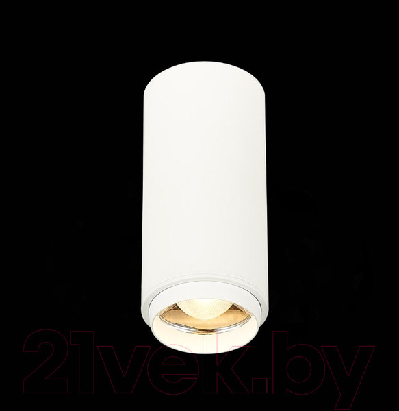 Изображение товара Потолочный светильник ST Luce Zoom ST600.532.10