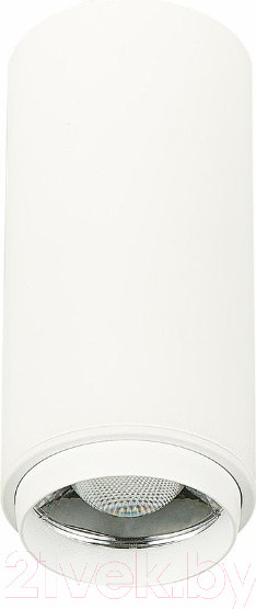 Изображение товара Потолочный светильник ST Luce Zoom ST600.542.10