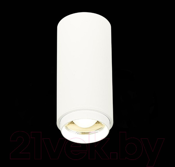 Изображение товара Потолочный светильник ST Luce Zoom ST600.542.10