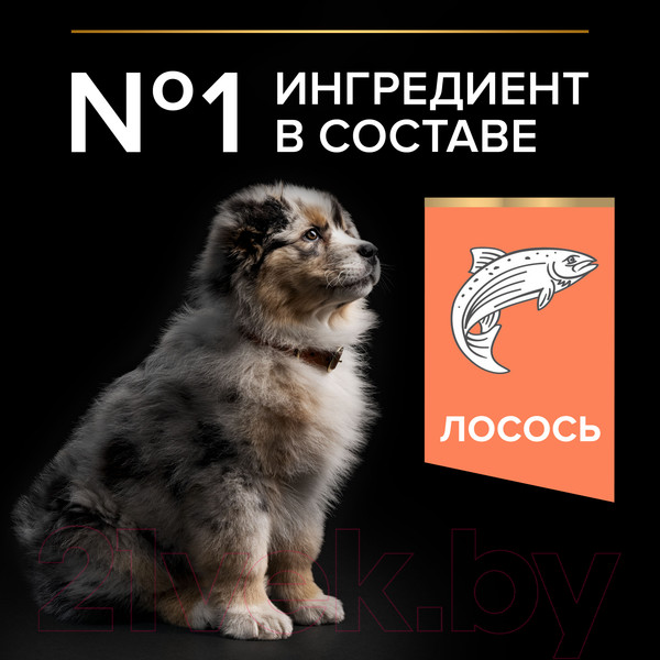 Изображение товара Сухой корм для собак Pro Plan Puppy Medium Sensitive Skin с лососем (3кг)