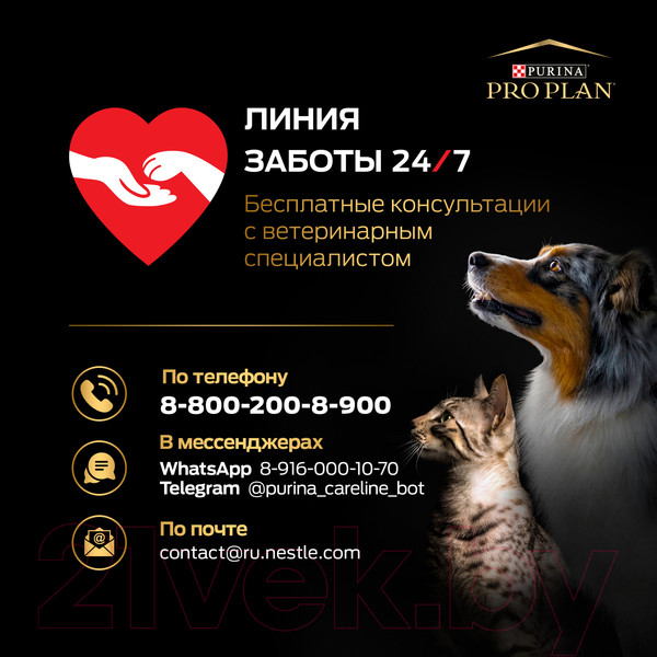 Изображение товара Сухой корм для собак Pro Plan Puppy Medium Sensitive Skin с лососем (3кг)