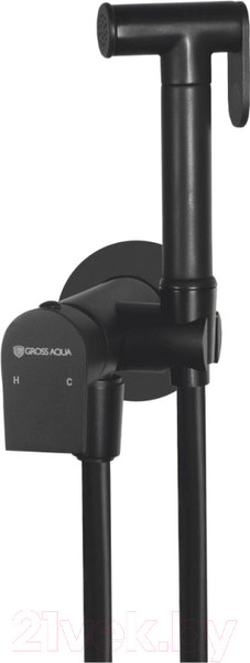 Изображение товара Гигиенический душ со смесителем Gross Aqua Bidet Evo GA042602MB