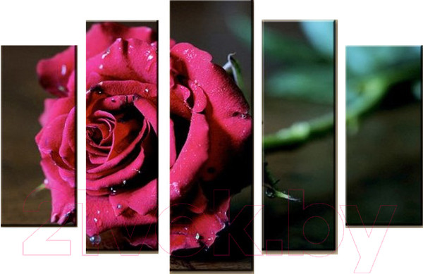 Изображение товара Картина модульная Arthata 5m-491 (160x90)