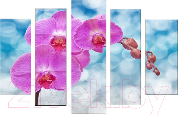 Изображение товара Картина модульная Arthata 5m-495 (130x80)