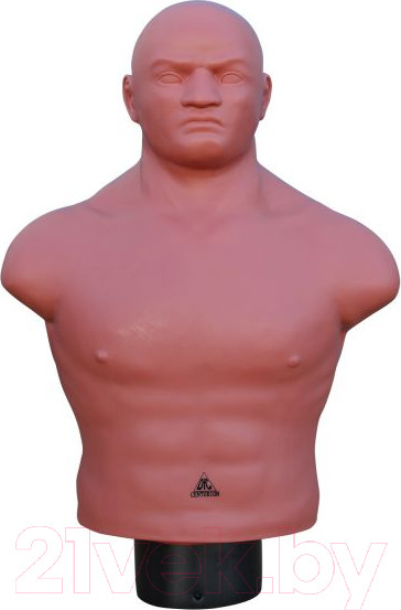 Изображение товара Боксерский манекен DFC Adjustable Punch Man-Medium / TLS-H (бежевый)