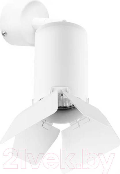 Изображение товара Спот Lightstar Rullo RB436436