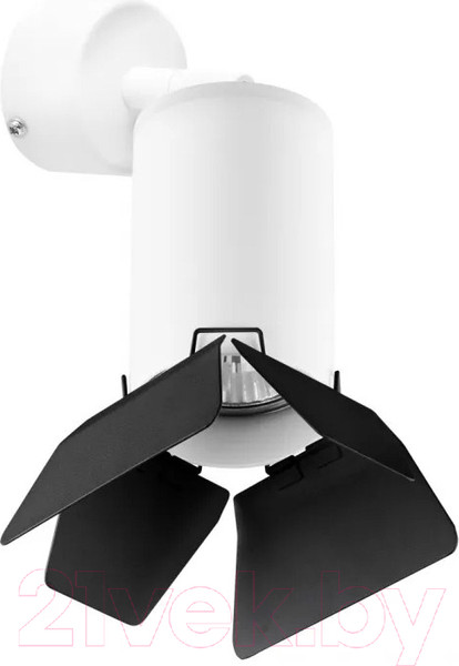 Изображение товара Спот Lightstar Rullo RB436437