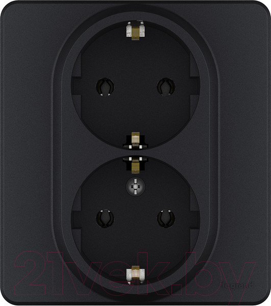 Изображение товара Розетка Legrand Inspiria 673753 (антрацит)