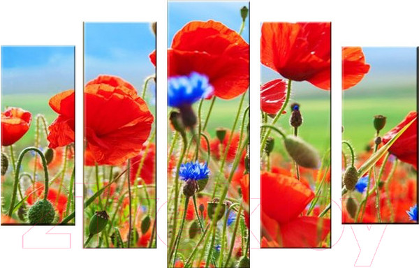 Изображение товара Картина модульная Arthata 5m-518 (130x80)