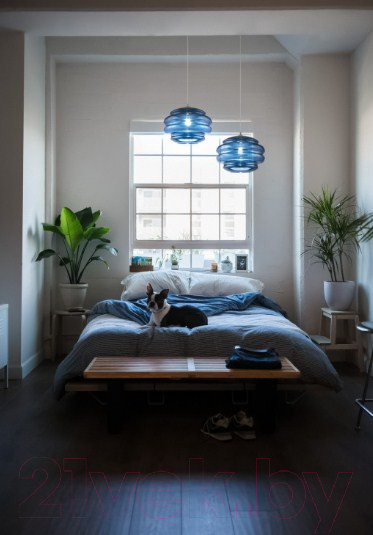 Изображение товара Потолочный светильник Maytoni Ruche P078PL-01BL