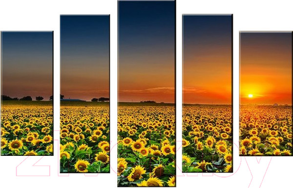 Изображение товара Картина модульная Arthata 5m-522 (160x90)