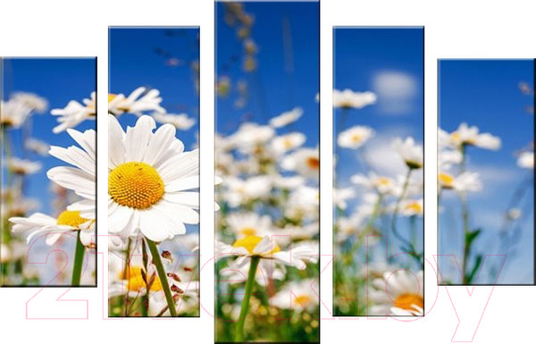 Изображение товара Картина модульная Arthata 5m-523 (105x60)