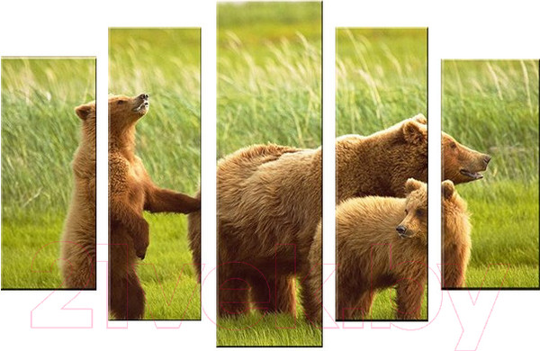 Изображение товара Картина модульная Arthata 5m-539 (160x90)