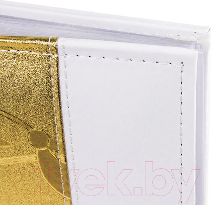 Изображение товара Фотоальбом Brauberg 391112 (золото)