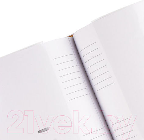 Изображение товара Фотоальбом Brauberg 391112 (золото)