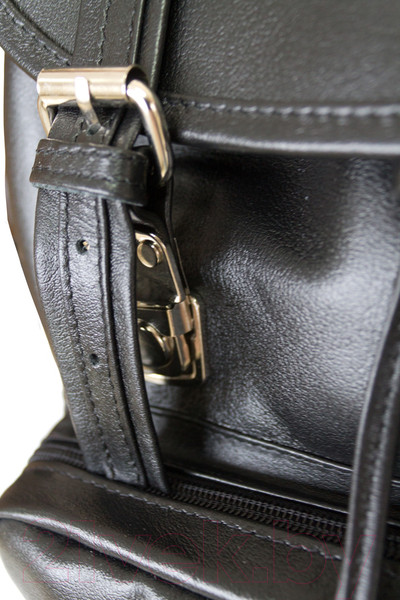 Изображение товара Рюкзак Carlo Gattini Antico Volturno 3004-05 (черный)