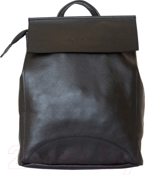 Изображение товара Рюкзак Carlo Gattini Classico Antessio 3041-01 (черный)