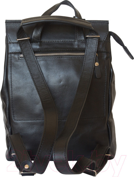 Изображение товара Рюкзак Carlo Gattini Classico Antessio 3041-01 (черный)