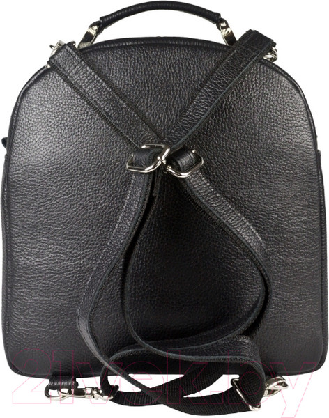 Изображение товара Рюкзак Carlo Gattini Classico Arcello 3083-01 (черный)