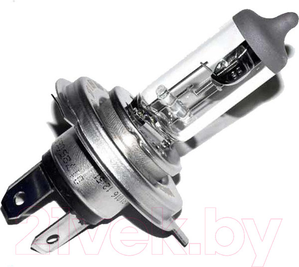 Изображение товара Автомобильная лампа Bosch 1987302042