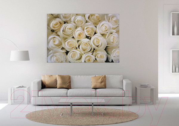 Изображение товара Фотообои листовые Citydecor Бутоны роз (200x140)