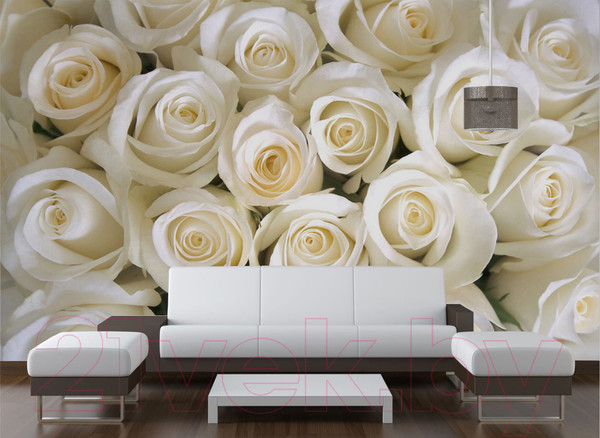 Изображение товара Фотообои листовые Citydecor Бутоны роз (200x140)