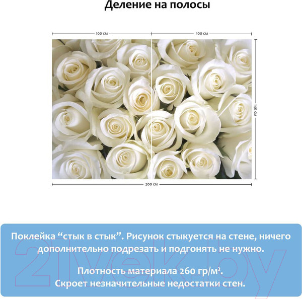 Изображение товара Фотообои листовые Citydecor Бутоны роз (200x140)