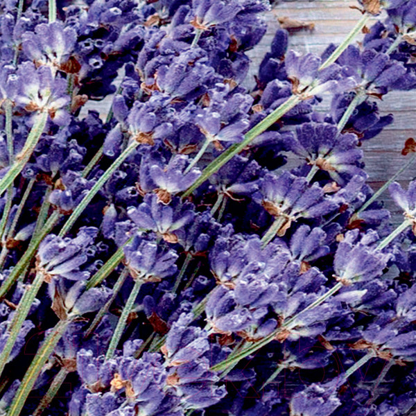 Изображение товара Фотообои листовые Citydecor Открытка 3D (200x140)