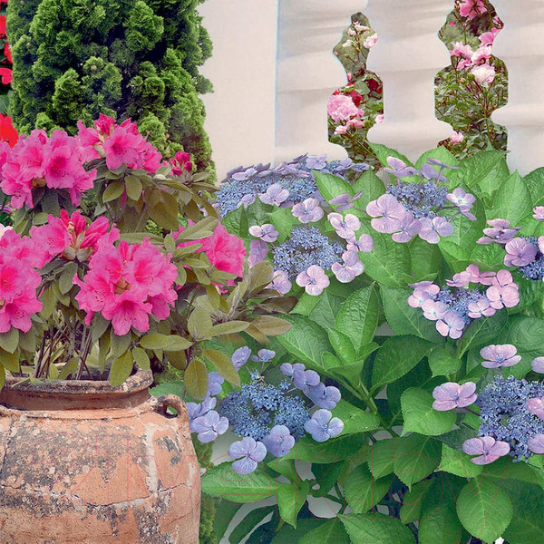 Изображение товара Фотообои листовые Citydecor Фреска балкончик 3D (200x140)