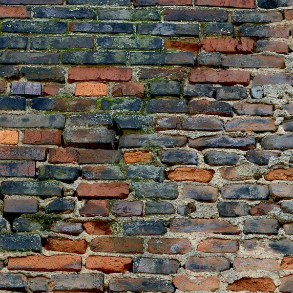 Изображение товара Фотообои листовые Citydecor Кирпичи 3D (200x254)