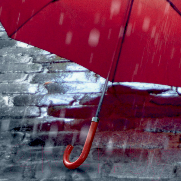 Изображение товара Фотообои листовые Citydecor Красный зонт (200x254)