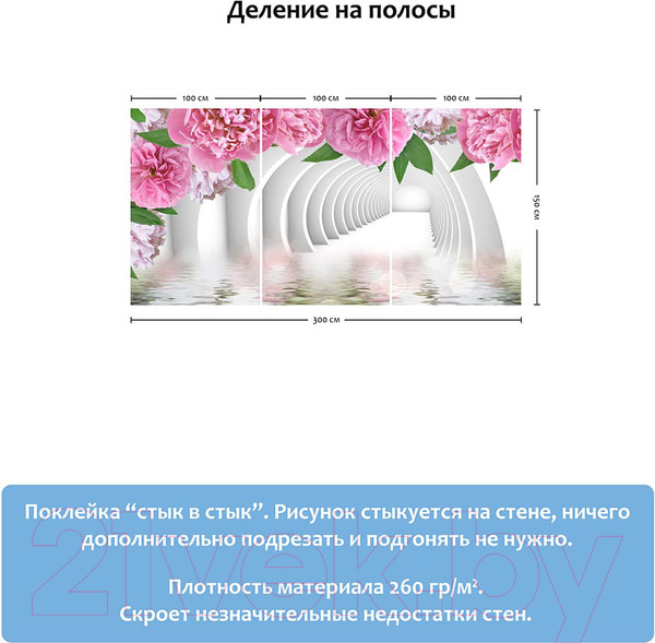 Изображение товара Фотообои листовые Citydecor Цветочный декор 2 3D (300x150)