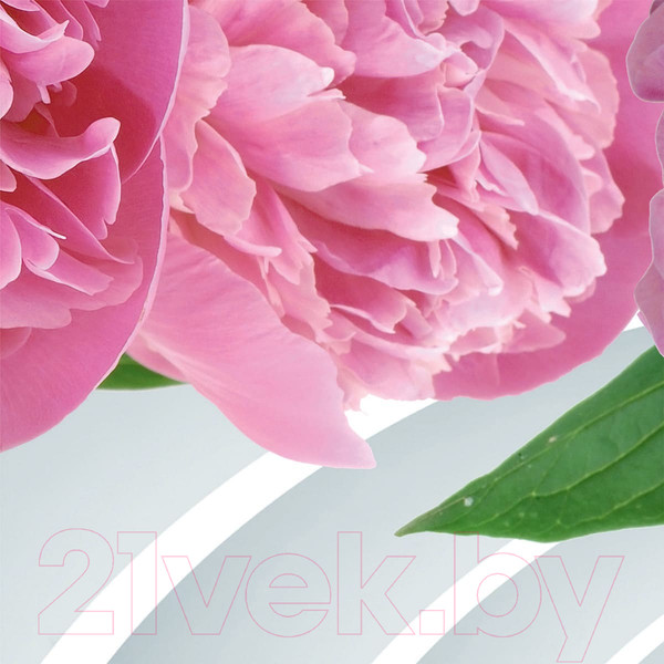 Изображение товара Фотообои листовые Citydecor Цветочный декор 2 3D (300x150)